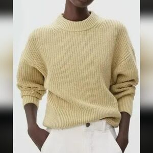 Everlane Chunky Knit Organic Cotton Pullover Sweater